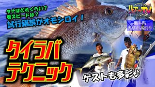 【タイラバ】アプローチを変えて突破口を開く！ 熊本県天草のタイラバゲーム