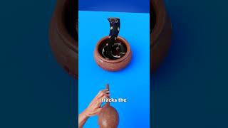 How Snake Charming Works