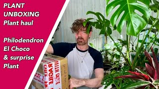 PLANT HAUL, PLANT UNBOXING / PHILODENDRON  EL CHOCO , rare plant / \u0026 WOW surprise gift