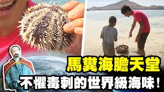 【弗羅倫斯島】馬糞海膽天堂 不懼毒刺的世界級海味!｜《世界第一等》380集濃縮精華版