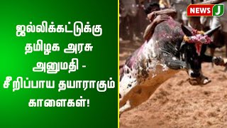 ஜல்லிக்கட்டுக்கு தமிழக அரசு அனுமதி - சீறிப்பாய தயாராகும் காளைகள்!