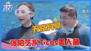 《🌸让生活好看S2》张柏芝水下cos美人鱼，水下“天赋”让教练惊讶，遇水脱妆展示最真实素颜！