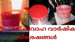 5th wedding anniversary vlog/simple vanilla cake recipe /coloured ganache cake recipe in malayalam