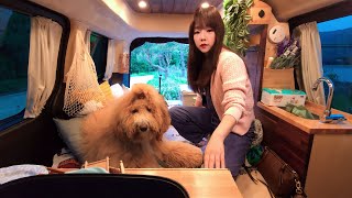 A cozy car camping night with a dog in a lake full of bird sounds / Camping Vlog /  Camping ASMR /