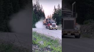 Unleashing the Power of Kenworth Dominating the Roadb#cat #kenworth #power #truck #diesel