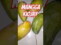 mangga jumbo #explore #buah #manggajumbo #shortvideo #shorts #nature