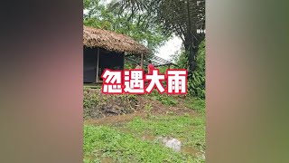 男孩和小雪搭建厨房框架，上山砍竹子运到院里，却遇到下大雨