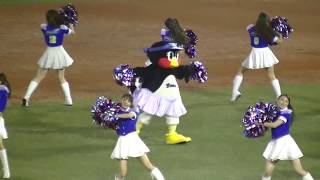 神宮球場におじゃまします！／【10.9決戦】グイグイ来るつばみｗ／2018.10.9　東京ヤクルトスワローズ×横浜DeNAベイスターズ　神宮球場