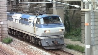 【山陽本線】JR貨物　EF66-129号機牽引　5056レ貨物列車