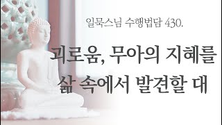 [자막] 괴로움, 무아의 지혜를 삶 속에서 발견할 때ㅣ일묵스님ㅣ제따와나선원 수행법담 430.