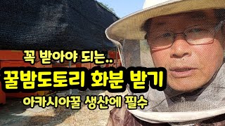 꿀밤도토리 화분 받기 아카시아꿀 생산에 필수 분봉열방지 채분기 수집