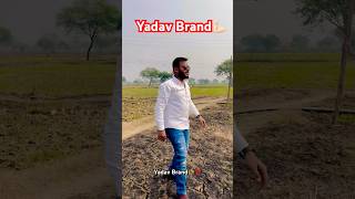 Apne kheton me kuch pal.🌾 #farmer #yadav #elvishyadav #ytshorts #kheti #youtube