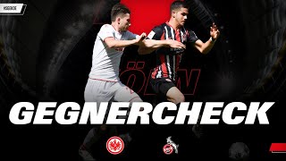 1. FC Köln trotz Verletzungssorgen formstark I Gegnercheck vor Eintracht Frankfurt - 1. FC Köln