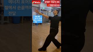 #waltz 🌈빅탑(여성123) 한발체중 에너지 포어드 발에서 손끝까지 ✨️김동수\u0026장미리댄스스튜디오⏳️최고의 강사진 #dance #tango #jive #foxtrot#samba