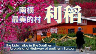 南橫最美的村落-利稻The Lidu Tribe《鄉鎮輕旅Travel at will in Township》