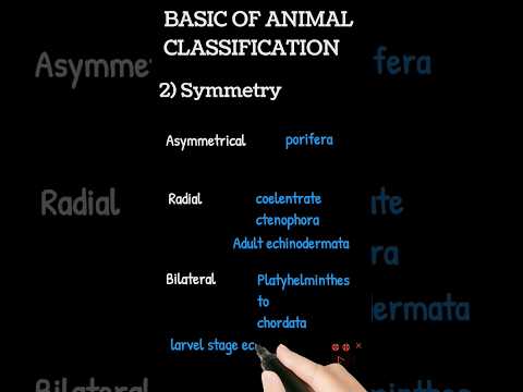 type of symmetry class 11th biology animal kingdom #neet #shorts #youtubeshorts #youtube #viral