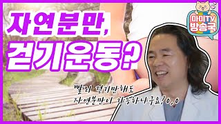 자연분만, 걷기운동? 언제부터?