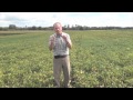 Wheat School: Seize the Fall! Peter Johnson’s Top Winter Wheat Planting Tips