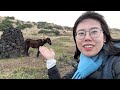 济州岛8天7晚旅行vlog，一个人全程坐公交车｜方便吗？哪些好玩的地方？花了多少钱？