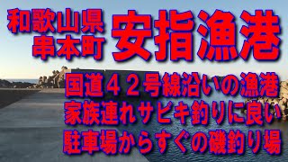 #44和歌山県串本町安指漁港あざし海亀が優雅に泳いでいます車横付け釣り出来ます波止が低いので安全ファミリー家族連れサビキ釣りに良い駐車場からすぐの磯釣り場堤防アジング釣りポイント釣りスポット