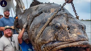 How Americans Spearfishing And Giant Groupers Hunting In Deep Sea Hawaii | Fishing Documentary