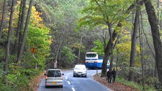 2017 路線バス JRバス 十和田湖→奥入瀬→青森駅 秋季バージョン 4K版