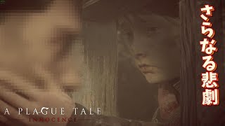 【A Plague Tale】#21 過酷すぎる道のり さらなる悲劇ショックを受ける【ゲーム実況】A Plague Tale Innocence プレイグテイル