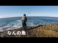 i never seen this fish 【$5000 fine】「オーストラリア」この魚、罰金約40万円です。