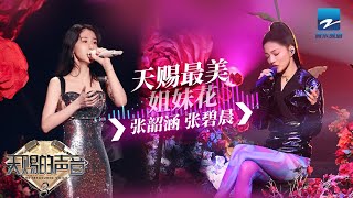 【双张姐妹CUT】张碧晨张韶涵《玫瑰的名字》舞台美轮美奂  张韶涵激情演绎《篇章》 《天赐的声音》 特辑