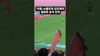 직캠) 손흥민과 김민재의 깔끔한 공격 전개 #한국 #손흥민 #김민재 #직캠