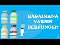 Bagaimana Vaksin Berfungsi? || How Vaccine Works?