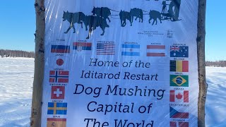 Iditarod 2022 first time for me