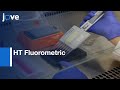 HT Fluorometric to Assess Phagocytosis and Actin Polymerization | Protocol Preview