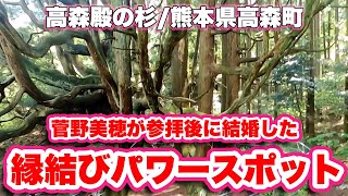 高森殿の杉/熊本県高森町【天然記念物】菅野美穂が参拝後に結婚したことから、縁結びのご利益があると人気のパワースポット【旅行VLOG】菅野美穂,縁結び,高森城,伊予守惟直,三森兵庫守能因,天然記念物