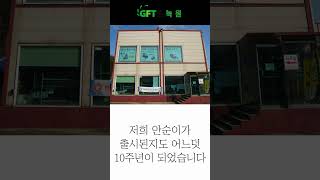 [GFT 녹원]농업용 의자 '안순이' 15,000개 생산 달성! #shorts