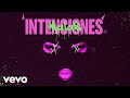 Malas Intenciones (Visualizer) ft. ED-G, DZRT, Yona Paz & HEX Maximo