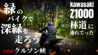 kZ1000を林道に連れてったら怒るよね【宮崎県 クルソン峡】モタード　林道