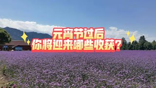 元宵节过后你将迎来哪些收获？（元宵节过后 不限时空）