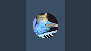 Keyboard Cat! is live!