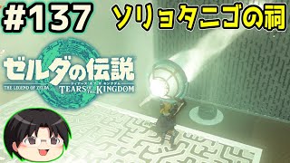 【実況】天空の城ハイラル！ゼルダの伝説TotKをツッコミ実況Part137