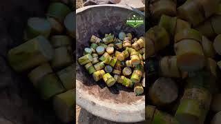 ਗੰਨੇ ਦੀ ਨਰਸਰੀ #sugarcanecultivation #sugarcane #sugarcanefarming #sugarcanejuicemachine