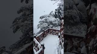 一定要和爱的人去下雪的武功山看日出#治愈系风景 #下雪