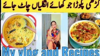 kadhi pakora punjabi style kadhi pakora recipe and desi vlogging pakistan