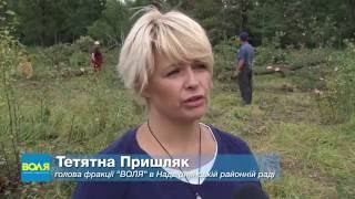 Активісти протестують проти вирубки дубів на Надвірнянщині