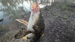 Fishing at Kings Billabong