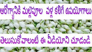 ఆరోగ్యానికి మల్లెపూల వళ్ల కలిగే ఉపయోగాలు | Health Benefits Of Jasmine Flowers