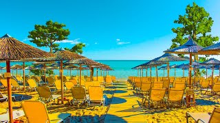 Tropical Beach Relaxation Cafe Ambience ☕ Smooth Ocean Wave Sounds with Bossa Nova Jazz for Relax