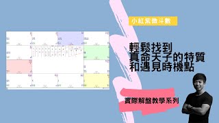 【紫微斗數解盤教學】輕鬆從命盤中找到真命天子｜小紅紫微斗數