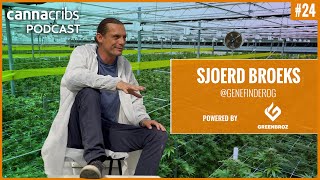 🌱 Cannabis Genetics, Breeding and Growing with @GeneFinderOG - Sjoerd Broeks