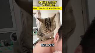 猫咪给主人按摩一脸的不情愿，网友：想刀你的眼神已经藏不住了 #萌宠 #funny #搞笑